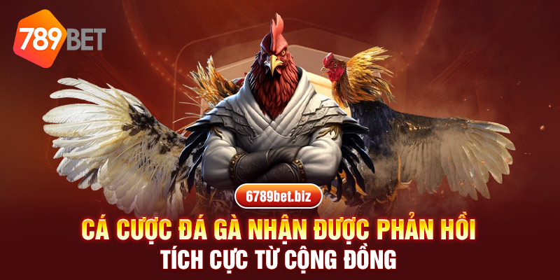 Cá cược đá gà nhận được phản hồi tích cực từ cộng đồng